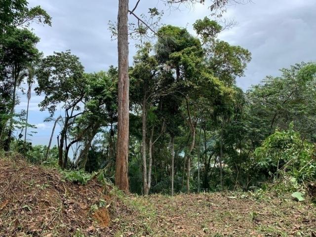 #396 - Terreno para Venda em Ubatuba - SP - 2