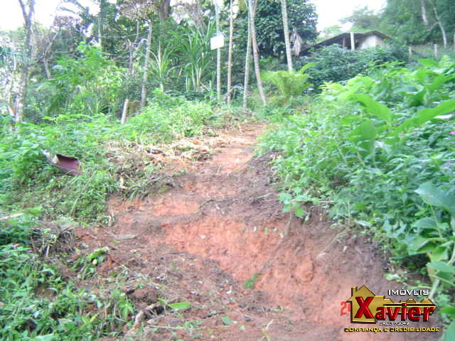 Área para Venda em Ubatuba - 4