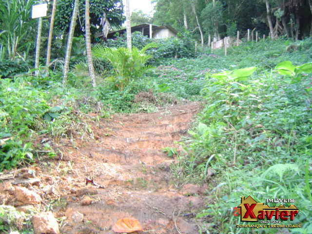 Área para Venda em Ubatuba - 5